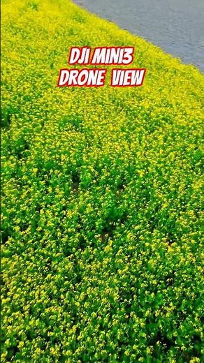Dji mini3 video #drone #dji #djimini3 #shorts #shortsfeed #viralshorts #trending
