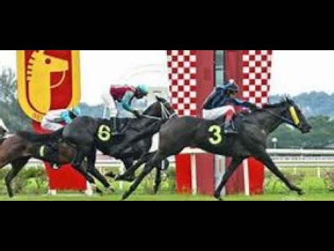 SELANGOR LIVE RACE ANALYSIS