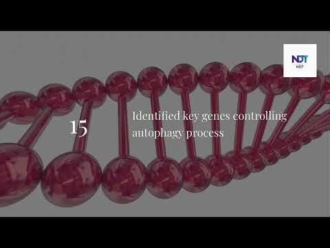 Autophagy: The Nobel Secret to Slowing Aging