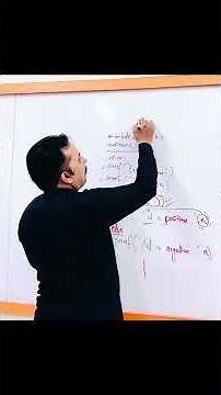 If else if to check given number is positive, negative or zero.