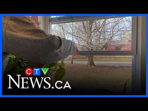 Best tips for spring cleaning