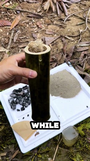 Simple Survival Water Hack🌿💧