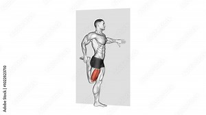 quadriceps stretch 3d anatomy exercise motion graphic muscle highlight workout fitness illustration video