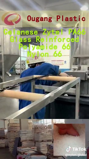 Nylon global trên TikTok