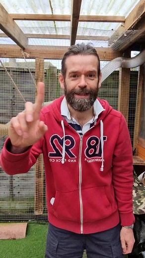 Kingsdown Ferrets on TikTok