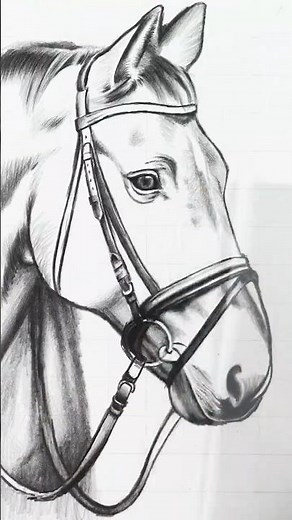 Perfect Horse Outline in Seconds ⚡