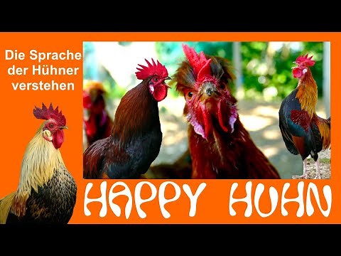 E70 Die Hühnersprache verstehen lernen - HAPPY HUHN - Das Verhalten der Hühner deuten, Körpersprache