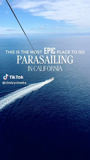 the most epic parasailing experience in California 🪂🐬 @Catalina Island Parasailing