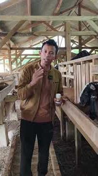 one of the drugs that can help livestock to come into heat more quickly