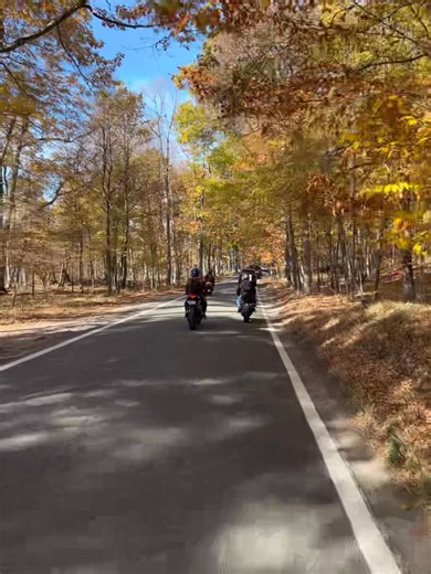 Trip with the boyys 2024 | Matt James