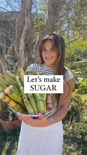Lucy Smith | Let’s make sugar :) Since we didn’t remove the molasses (sugar cane contains molasses), this is basically brown sugar. It’s traditionally... | Instagram