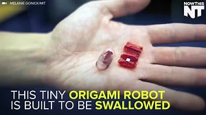 Tiny Origami Robot Works Inside The Human Body | Thrillist Travel