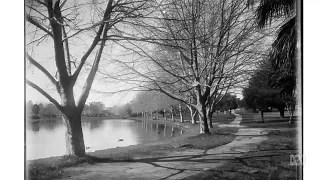Hyde Park in 1920.