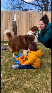 #funny | Lessons In Leadership