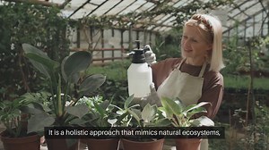 Benefits of Permaculture Gardening