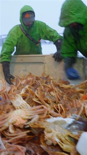 Deadliest Catch on Instagram: "The Alutenian Lady is on a hot streak in cold waters—but their bounty will be useless if the frigid temperatures kill the crab before they can make it home. #DeadliestCatch"