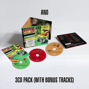 2.5K views · 40 reactions | A Flock of Seagulls are excited to announce the 40th anniversary remastered reissue of their self-titled album! Available on 3CD with bonus tracks and on Limited Edition Orange Vinyl. Out February 17th , pre-order your copy now. | A Flock Of Seagulls | Facebook