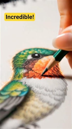 “From sketch to reality: Watch this hummingbird spring to life!” #shortfeed #3danimation #art