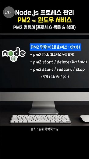 PM2 명령어(프로세스 목록 & 상태 관련 ☞ list, start)