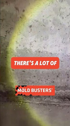 Mold on Concrete - Free Virtual Inspection