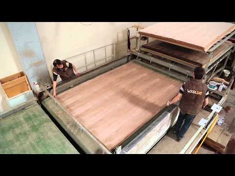 WOODLENT - VENEERED MDF FACTORY