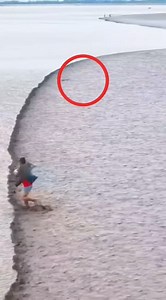 3.6K views · 16 reactions | https://wa.me/905324683362  Bilgi:...