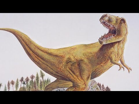Scientists determine the T-rex couldn't run