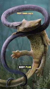 Evolution & Changing Textbooks | What Fossils Outside of Chicago Are Revealing #animals #evolution