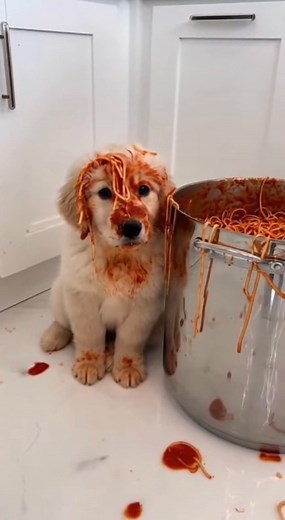 Mini Madness on Reels