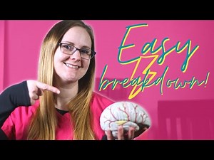 Epilepsy | Nursing School Lecture