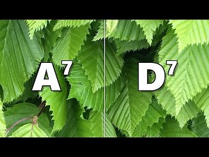 A7 to D7 Backing Track