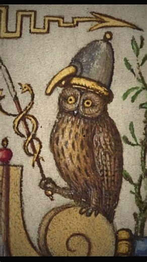 Weird Medieval Animal Paintings #historyart #art #painting #arthistory