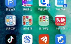 700块钱的荣耀V30高配5G手机系统应用优化（鸿蒙工具箱删除系统自带应用）_哔哩哔哩_bilibili