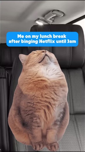 Understanding Occupational Therapy for Pediatrics