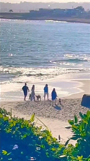 May 9, 2026 Whole Wide World at The Beach NorCal Santa Cruz CA #socal