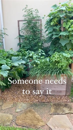 54K views · 1.2K reactions | Are you coming to the Spring Garden Workshop!!?朗 Comment SPRING and I’ll send you the link to join me. Next week, I’ll show you how to break the plant spacing rules and make the most of every square inch you’ve got. The plant spacing rules are made for row gardeners with acres of land growing. Thats not me, but maybe that’s not you either  So come learn how to break the plant spacing rules and join me LIVE next week. | Gardenary | Facebook