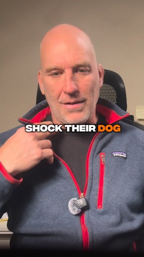 Most dog owners think the only fencing options are expensive...