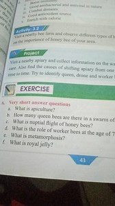 Boost immunityBood antibacterial and antiviral in natureiii. ... | Filo