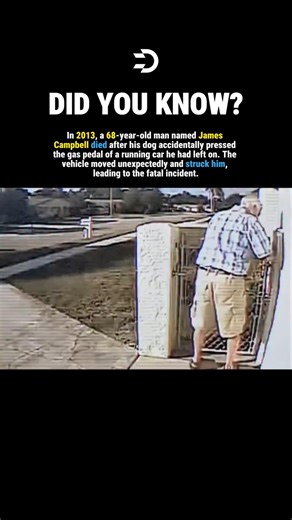 His DOG Pressed The Gas Pedal #history #facts