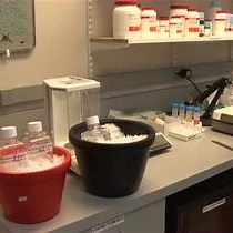 Video: Automated Hydrophobic Interaction Chromatography Column Selection for Use in Protein Purification