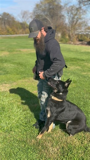 Lycan Z Tykev Vino’s obedience is starting to come together Mountaineer K-9 Services WV Working K9 Club #germanshepherd #gsd #dogsofinstagram #dog #germanshepherdsofinstagram #gsdofinstagram #dogs #k #puppy #germanshepherdpuppy #gsdlove #germanshepherddog #gsdpuppy #germanshepherds #gsdlife #dogoftheday #doglover #dogstagram #instadog #puppiesofinstagram #puppylove #doglife #doglovers #workingdog #puppies #shepherd #gsdnation #dogtraining #gsdstagram #love | Matt Kordusky