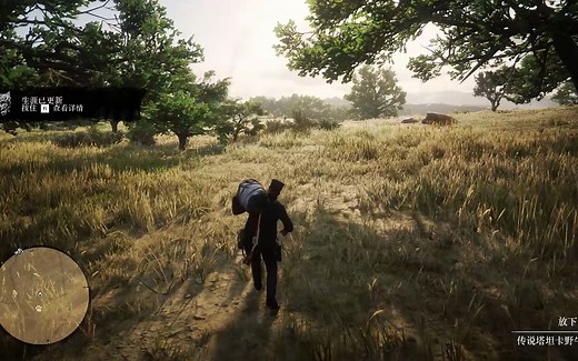 【荒野大镖客：救赎2】P379 传说塔坦卡野牛&塔坦卡野牛角小饰物