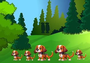 Bear Rescue Adventure - Escape Fan