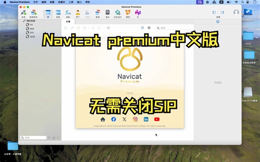 Navicat Premium17.1.5Mac中文版下载安装（无需关闭SIP）