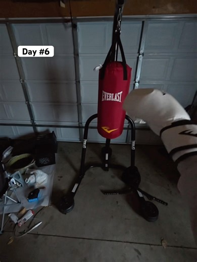 Punching this bag everyday #6 #boxing #challenge #mma #onemorepunch