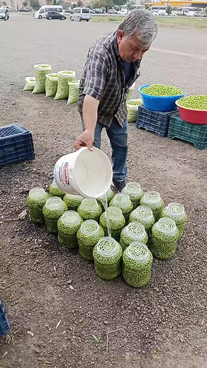 4 adet 5'lik bidon her bidonda 3 kilo 250 gram zeytin var ücretsiz kargo toptan fiyat aşağıda WhatsApp'tan iletişime geç var tıklayın listemiz gelsin | Bayram Saglam