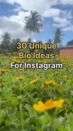 Pritika Loonia on Instagram: "30 Cool Instagram Bio Ideas 👇🏻 1. Success is in my veins 2. I speak fluent sarcasm! 3. What should I put here? 4. Do you know what I like about people? Their dogs. 5. I’m out here hustlin’ to claim what’s mine. 6. Sprinkling kindness everywhere I go 7. If I was a writer, I’d have a better Instagram bio quote 8. Turn that blue follow button to white. 9. I practise what I post 10. If “love is in the air,” why is the air so polluted? 11. It took me __ years to look l