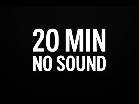 20 Min Timer – No Sound | Simple Clean Countdown for Study & Work Sessions