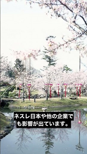 アスクル システム障害1週間超、受注や出荷復旧めど立たず