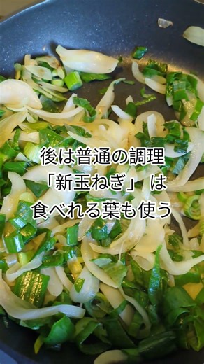 179円の豚足、「新玉ねぎ」丸ごと使い保温調理でカレー#shortsyoutube #節約生活 #シャトルシェフ